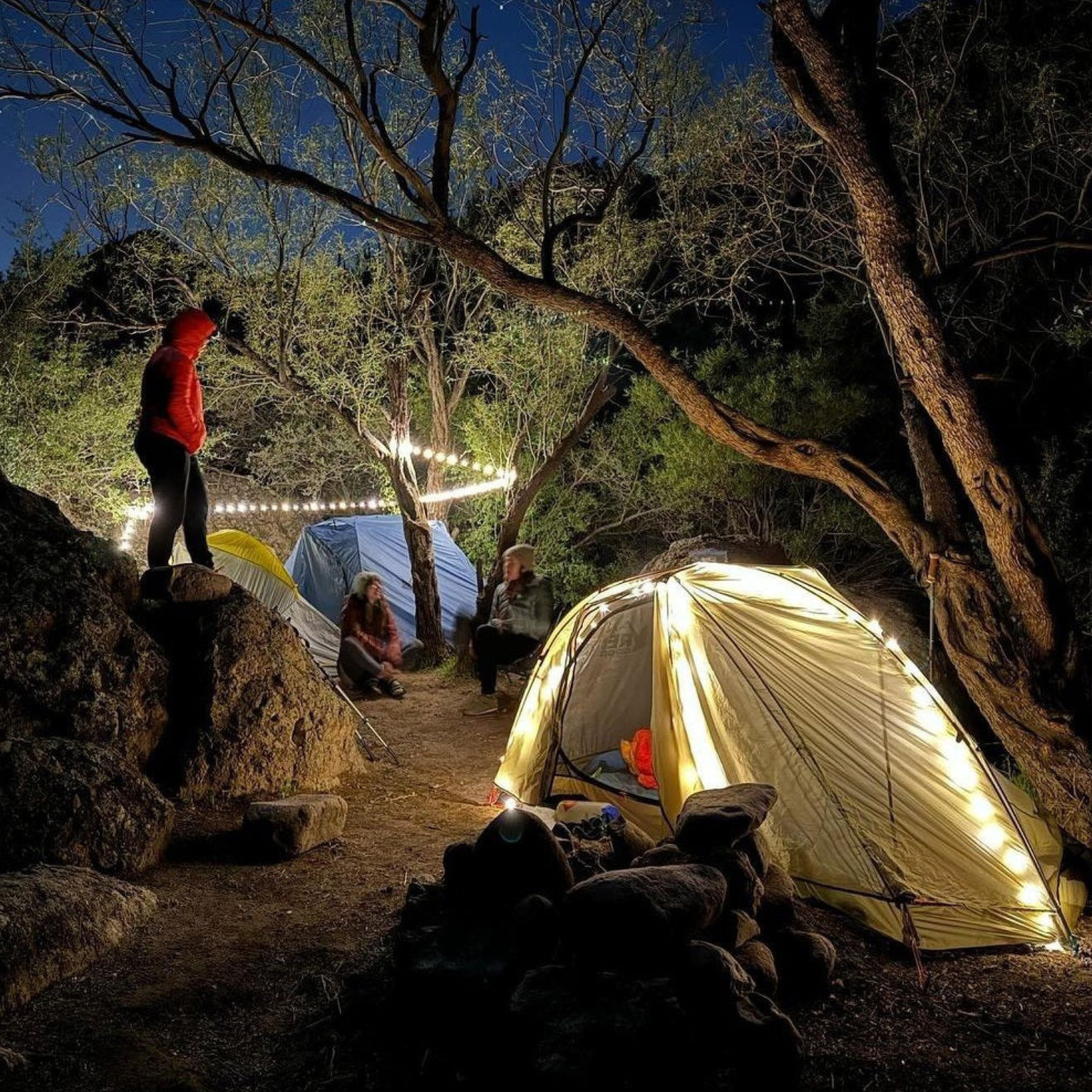 CAMPBUDDY
